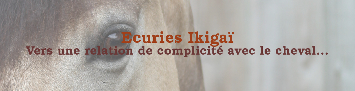 Ecuries Ikigaï